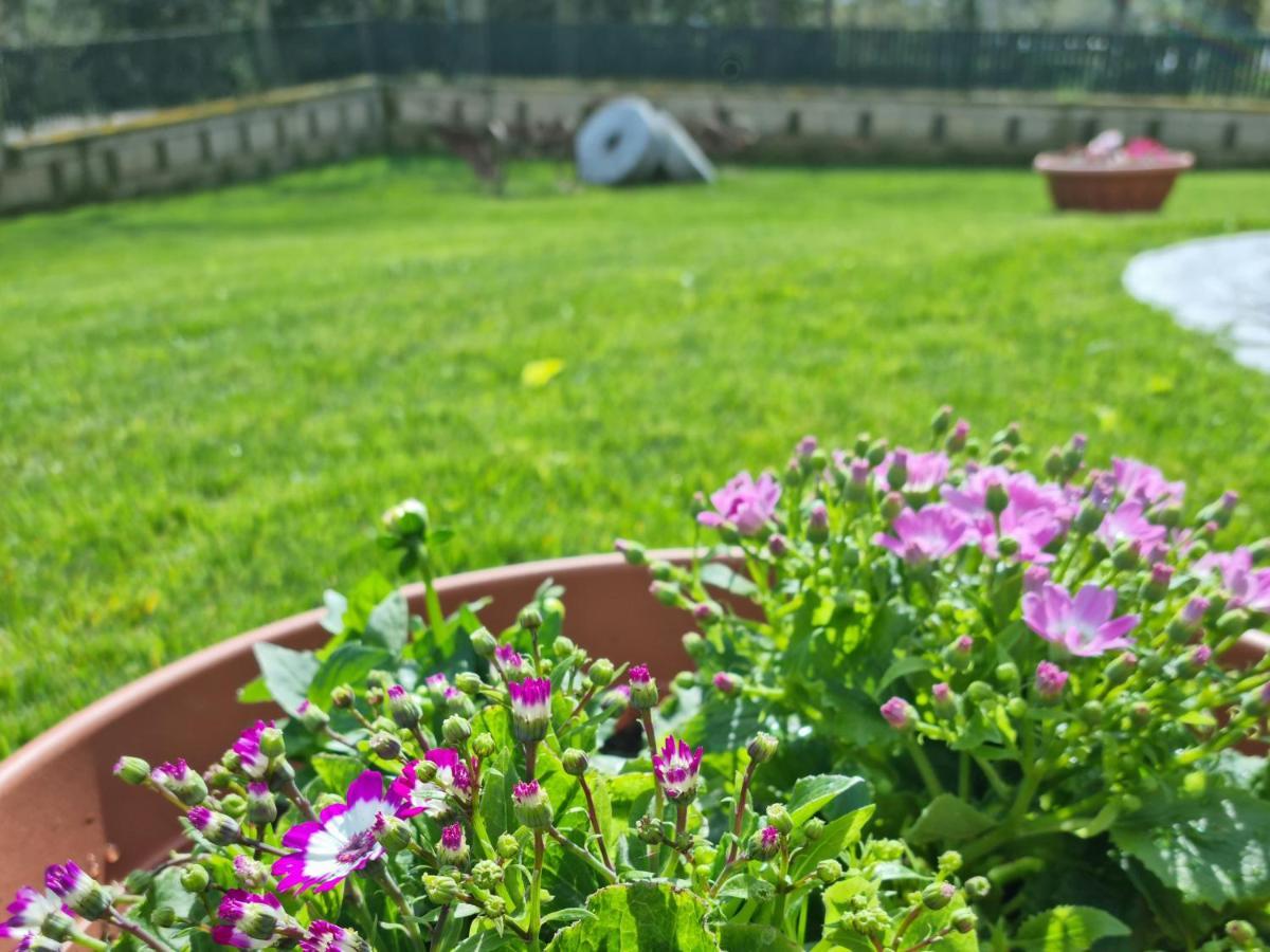 Il Casale Nel Parco Guesthouse Roma Eksteriør bilde