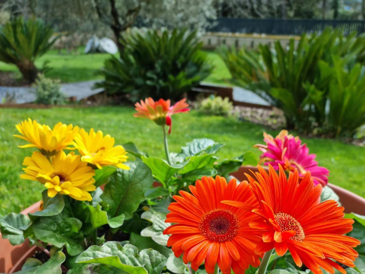 Il Casale Nel Parco Guesthouse Roma Eksteriør bilde